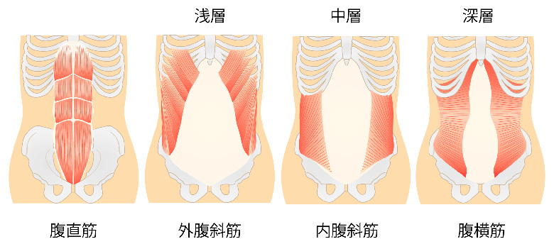 腹筋